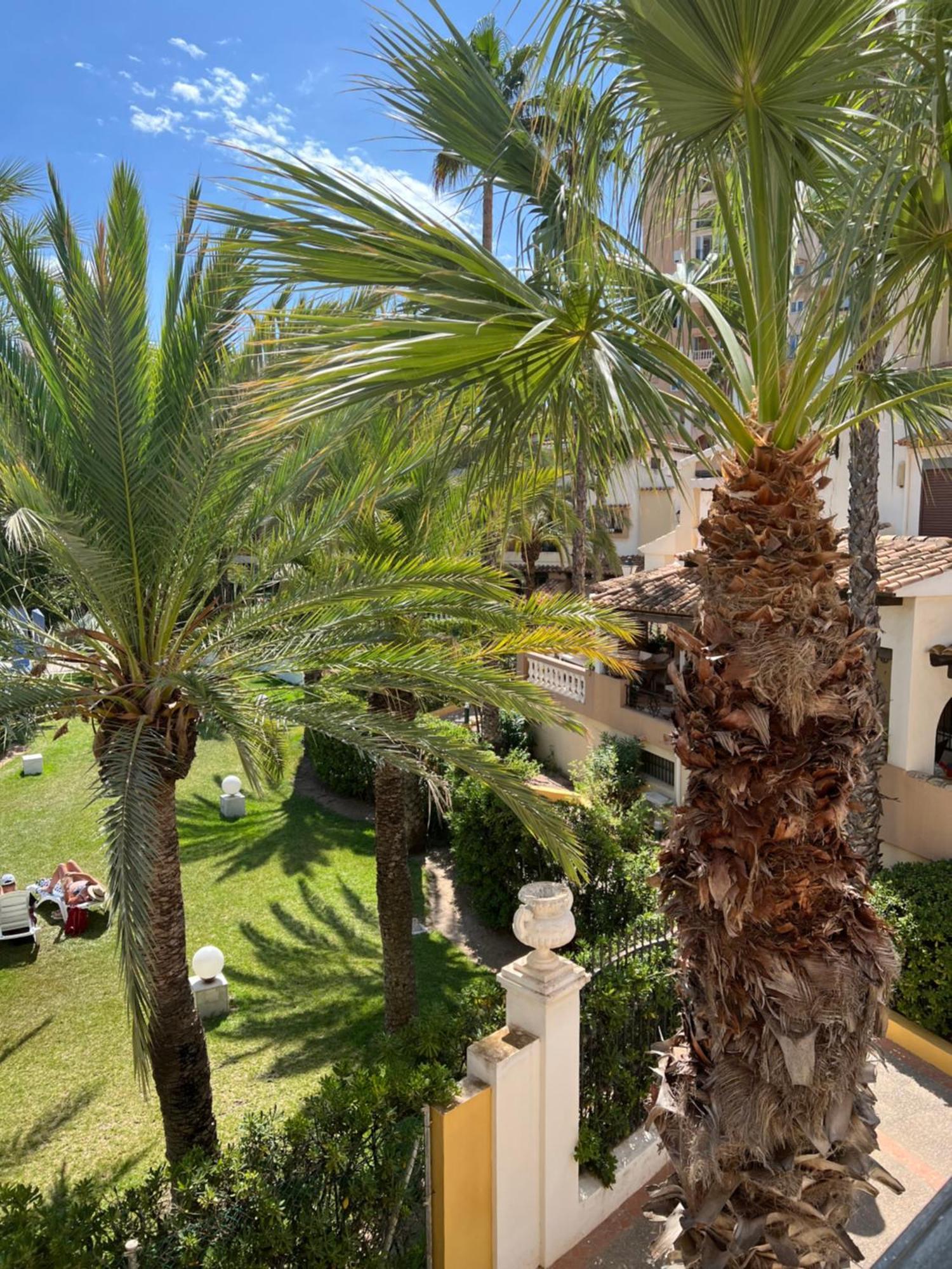 Casa Al Mare Aldea Apartment ตอร์เรเวียคา ภายนอก รูปภาพ