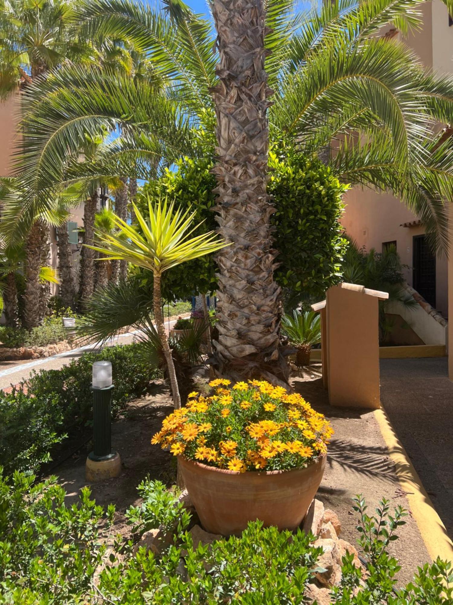 Casa Al Mare Aldea Apartment ตอร์เรเวียคา ภายนอก รูปภาพ